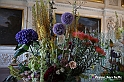 VBS_0166 - Corollaria Flower Exhibition 2022